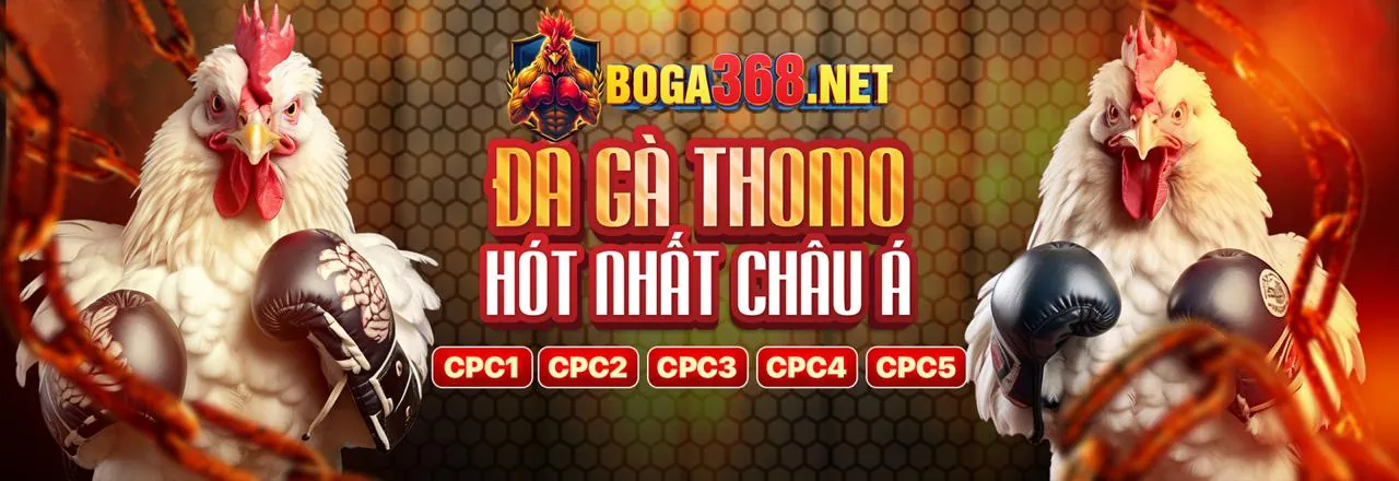 Tin tức 123b đá gà: Cập nhật sự kiện, chiến lược và khuyến mãi độc quyền