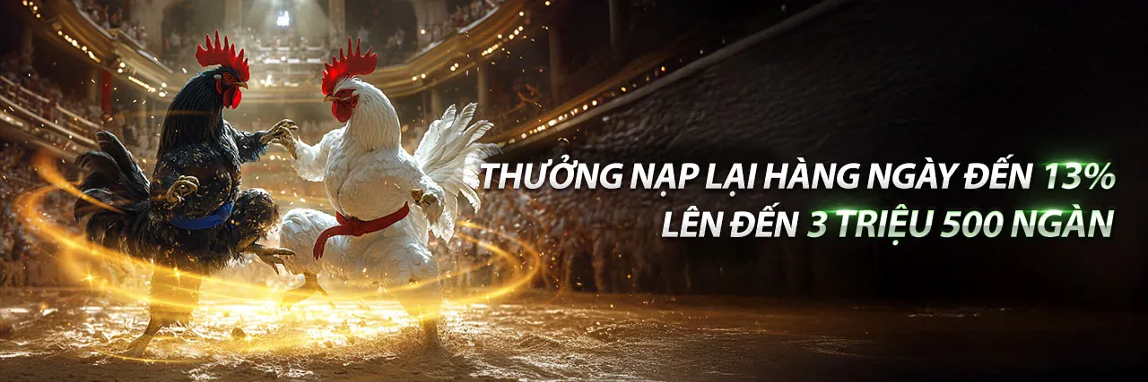 Hình ảnh chính sách bảo mật 123b đá gà